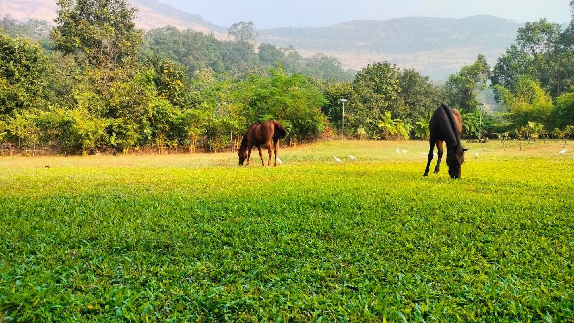King'S Landing Villa Karjat Exterior foto